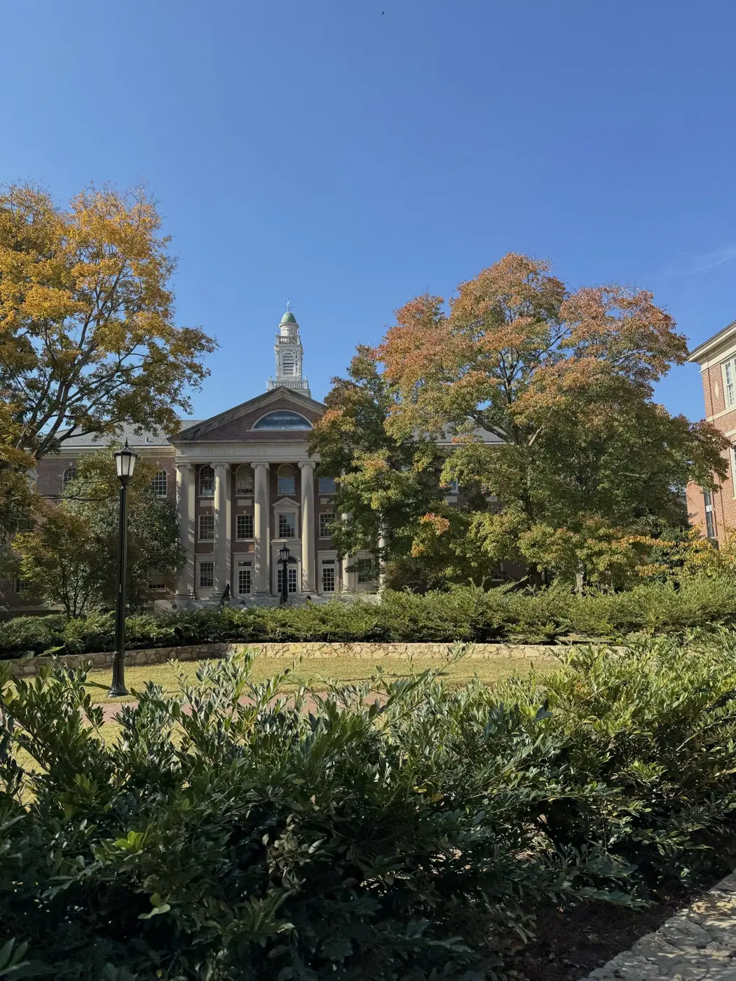 Chapel Hill photo 24