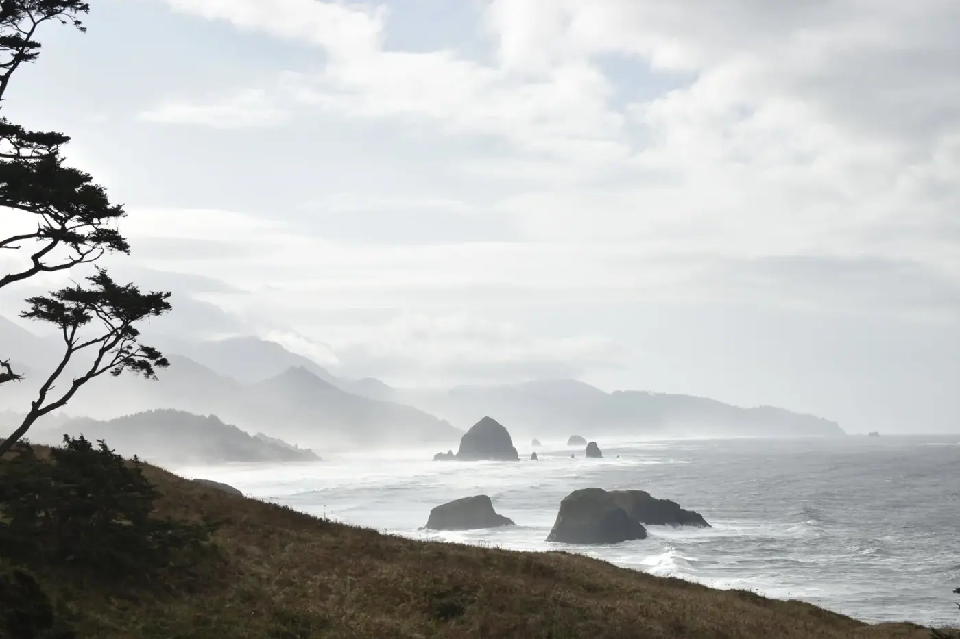 Oregon photo 11