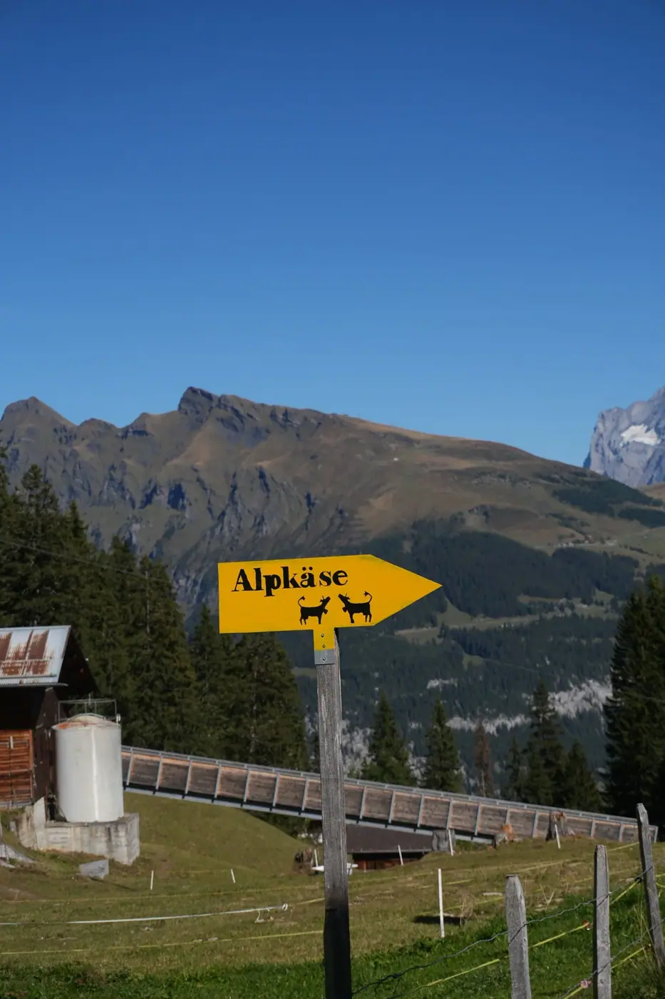 Switzerland photo 7
