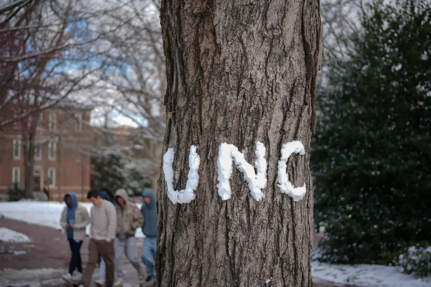Chapel Hill photo 1