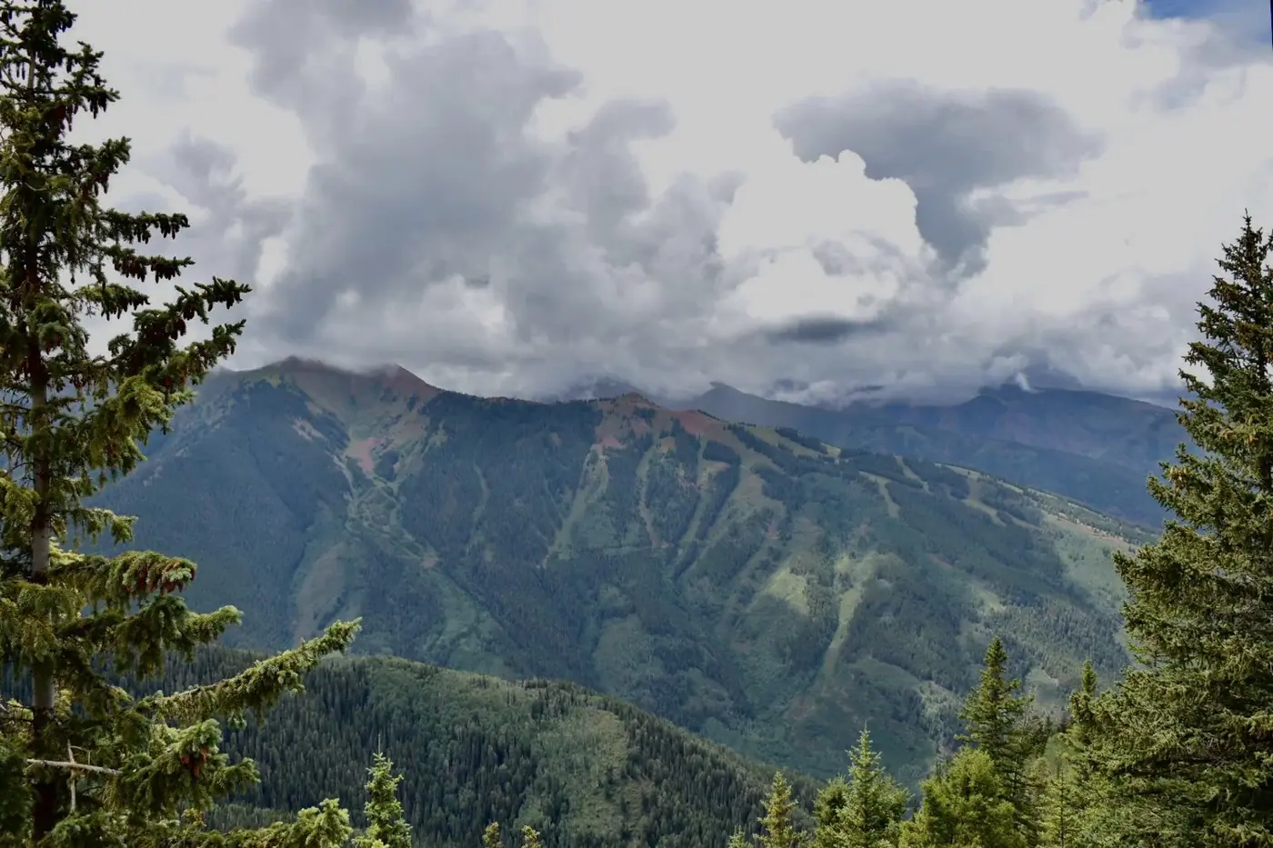 Aspen photo 5
