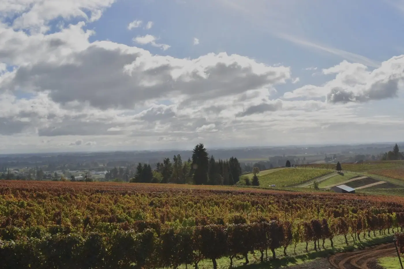 Oregon photo 5