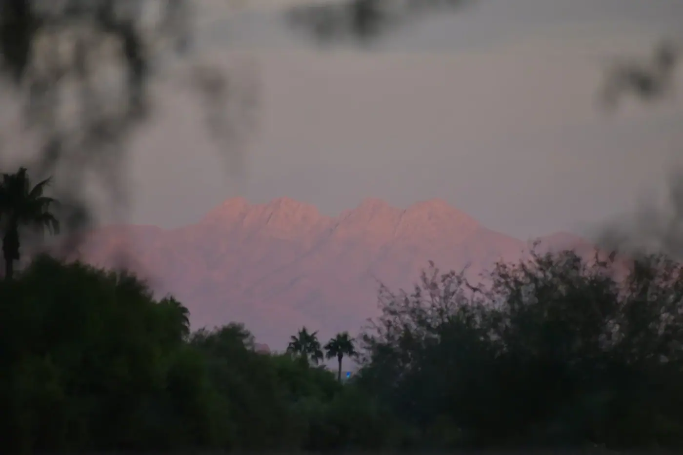 Arizona photo 12