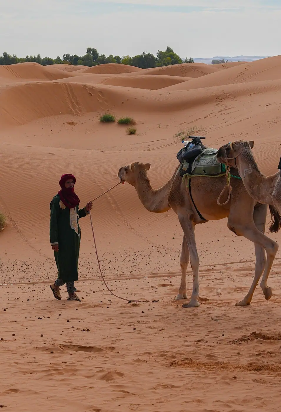 Morocco photo 9