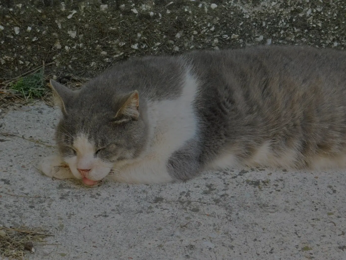 Greece photo 5