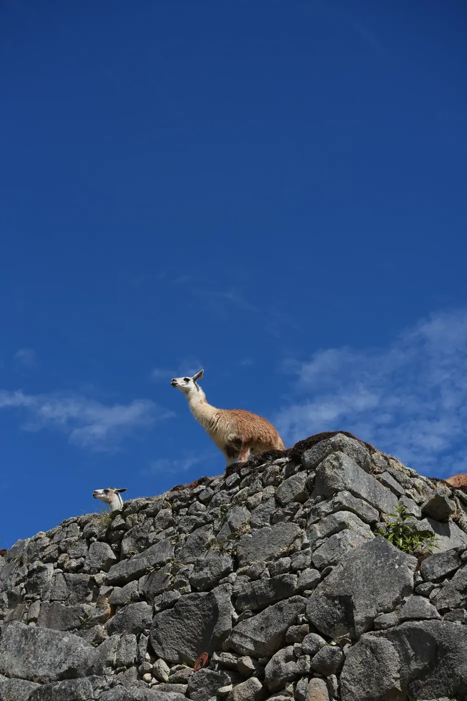 Peru photo 3