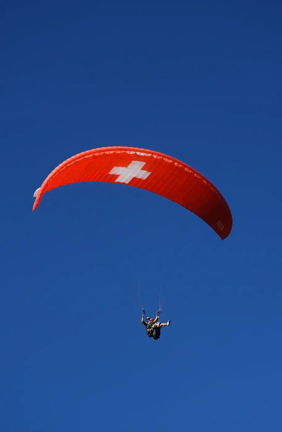 Switzerland photo 23