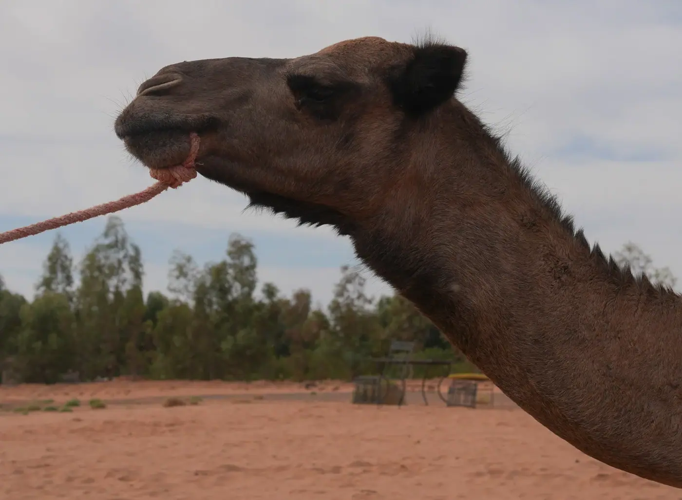 Morocco photo 22
