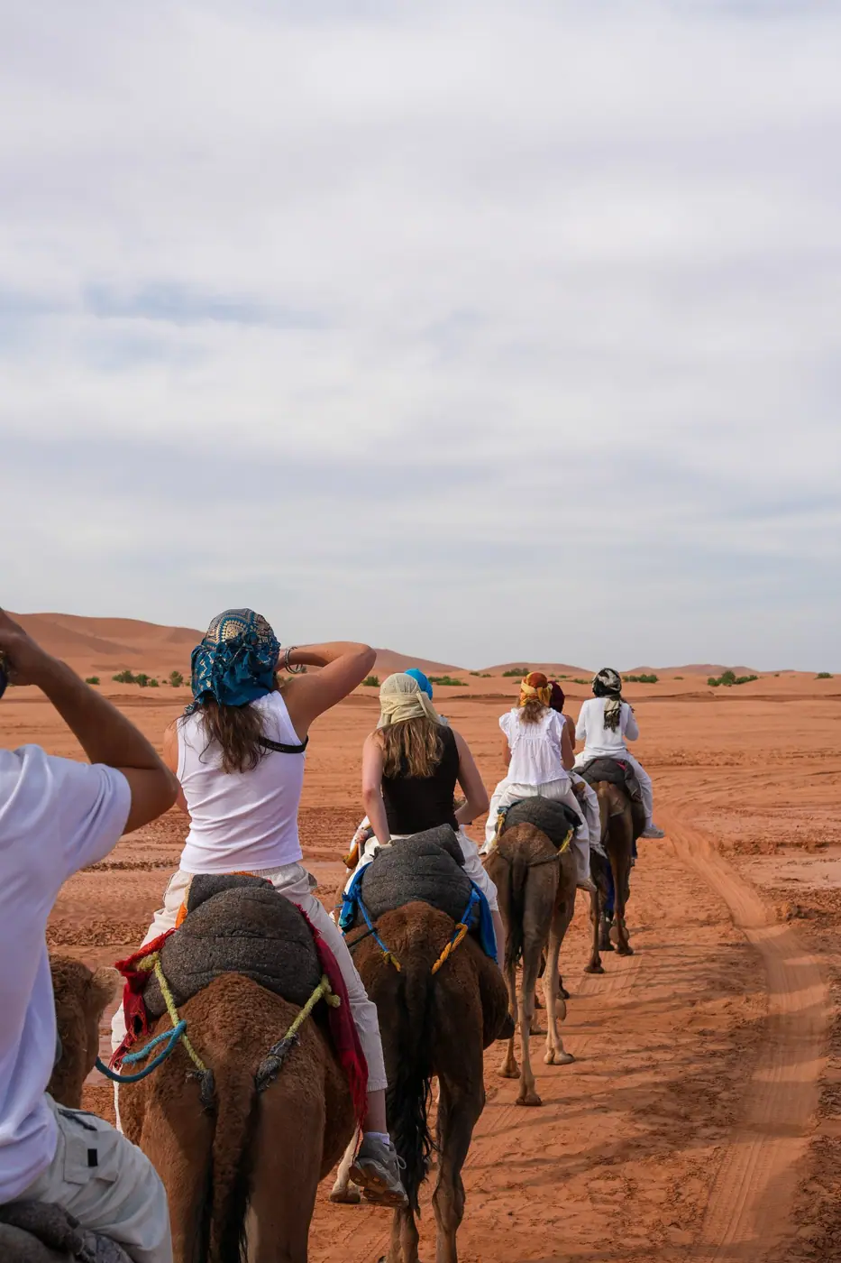 Morocco photo 16