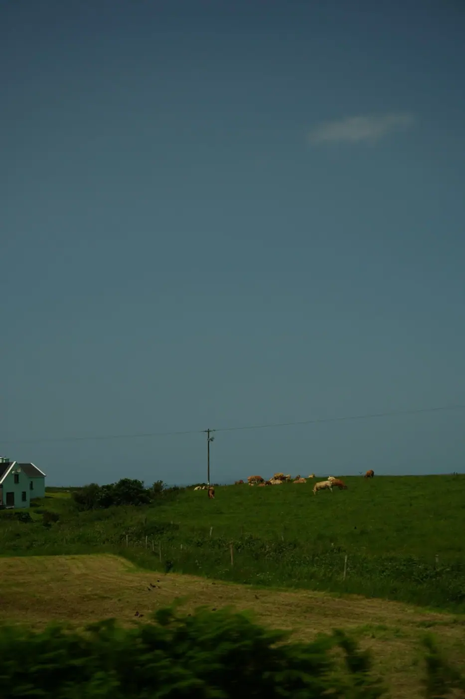 Ireland photo 23