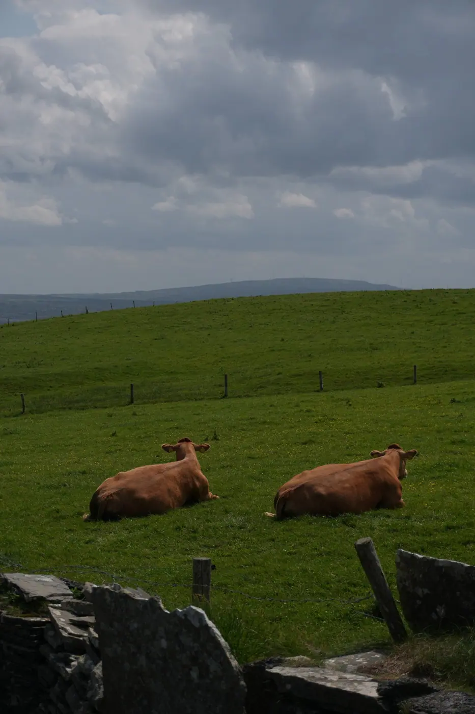 Ireland photo 15