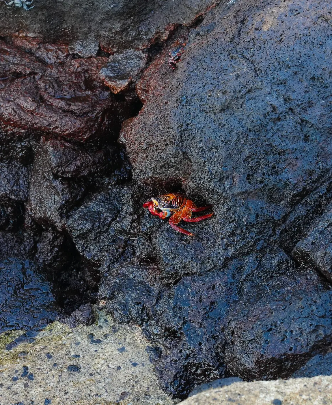 Ecuador photo 25