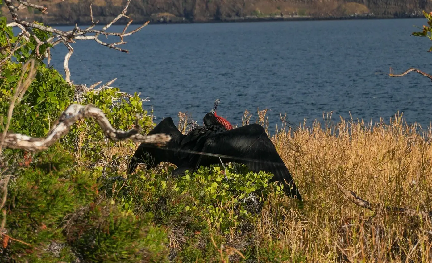 Ecuador photo 18