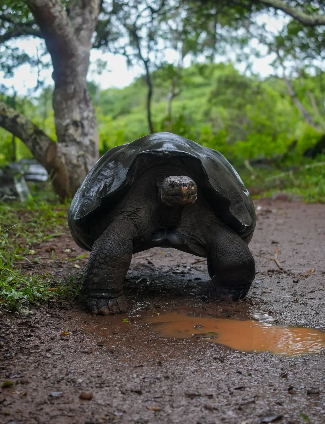 Ecuador photo 27