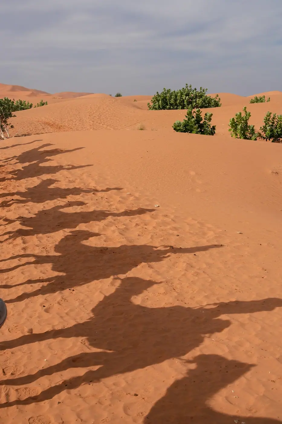 Morocco photo 4