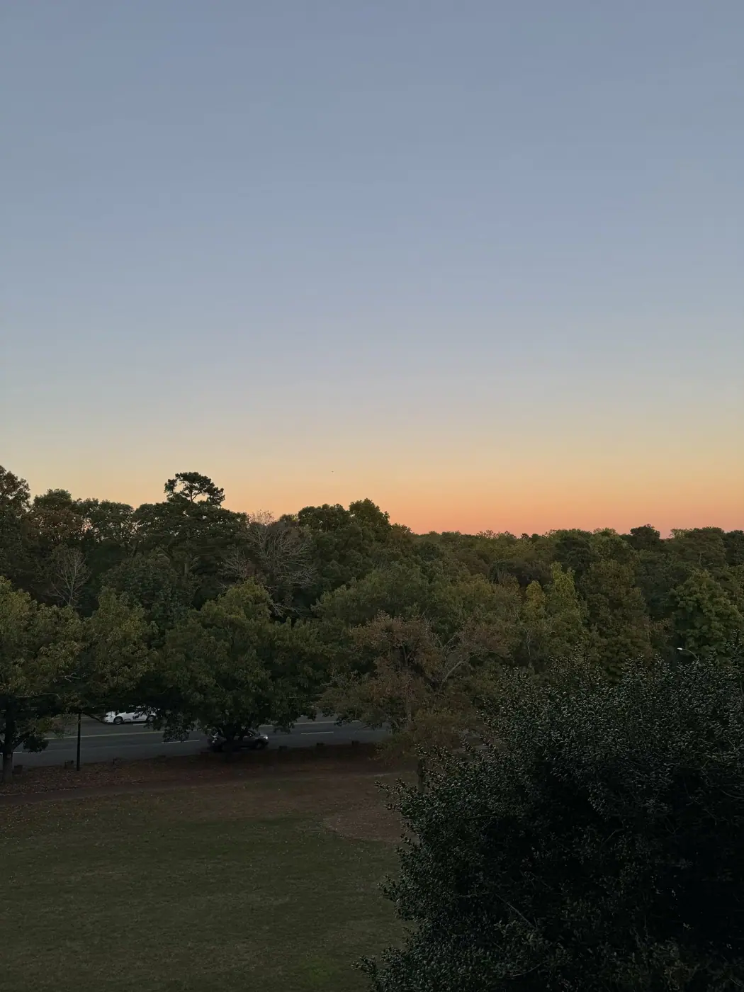 Chapel Hill photo 22