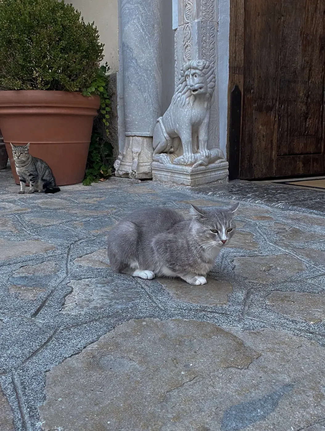 Italy photo 15