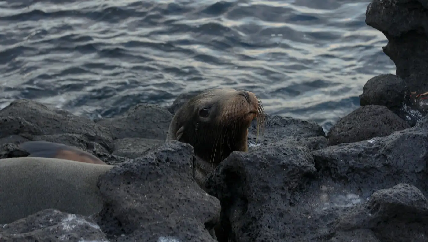 Ecuador photo 12