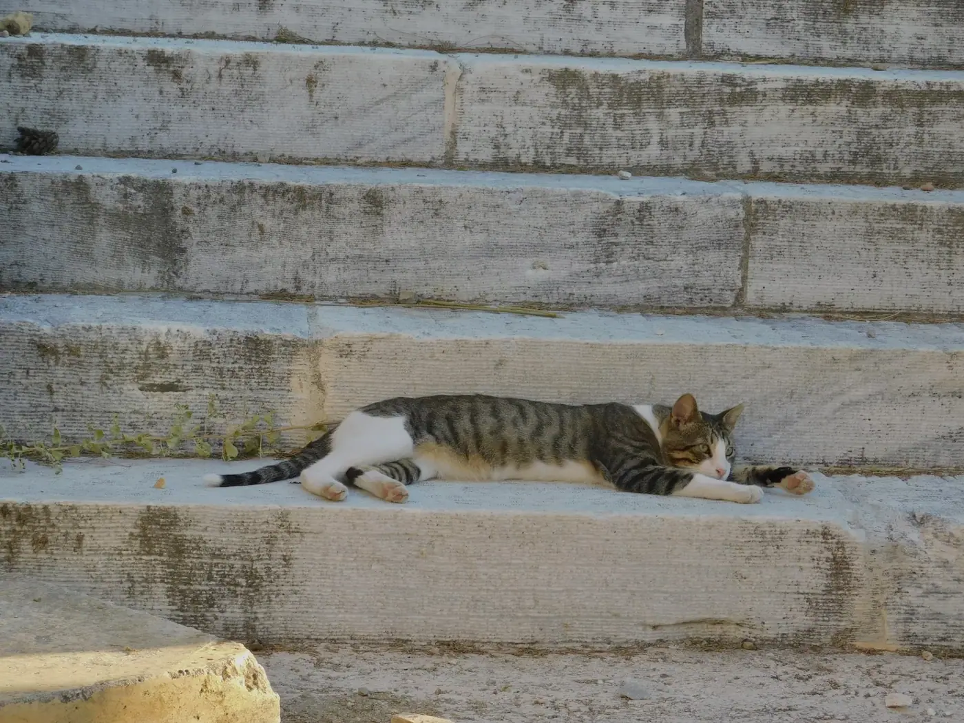 Greece photo 9