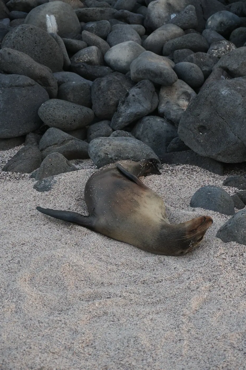 Ecuador photo 24