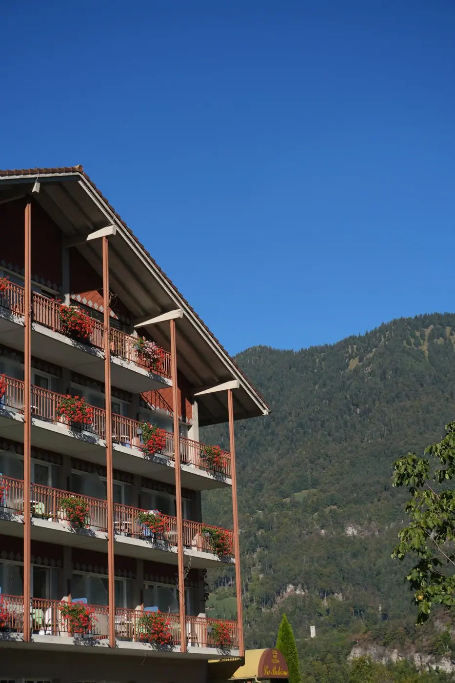 Switzerland photo 26