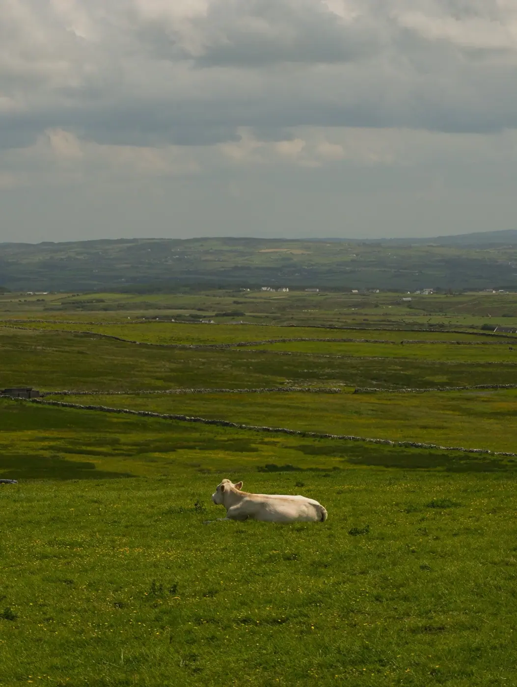Ireland photo 22