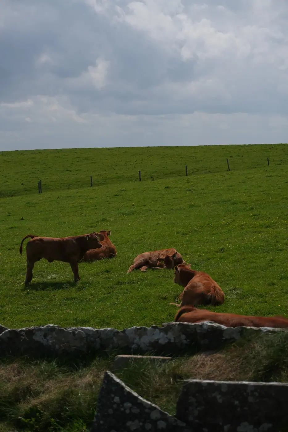 Ireland photo 27