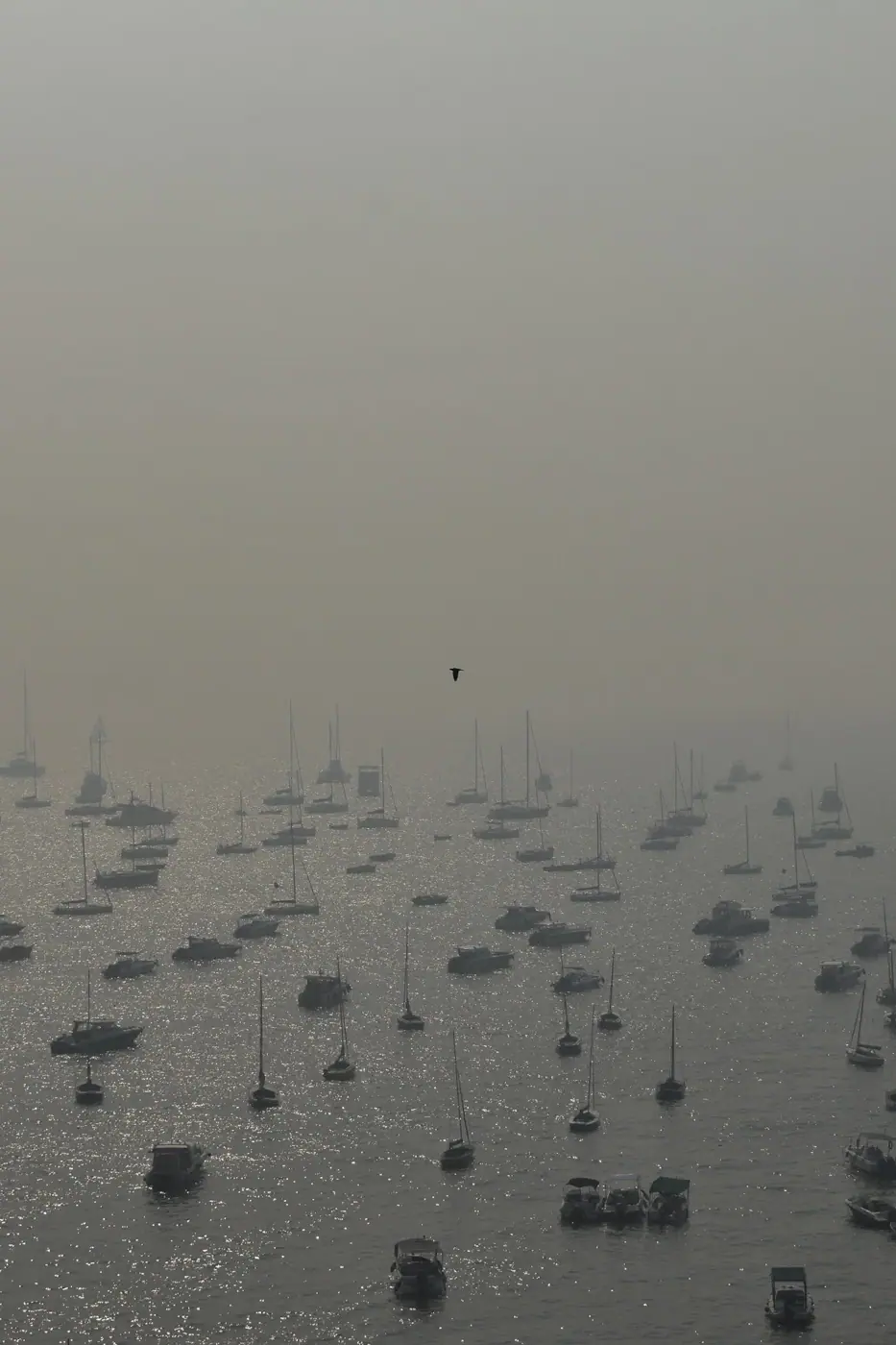 India photo 5