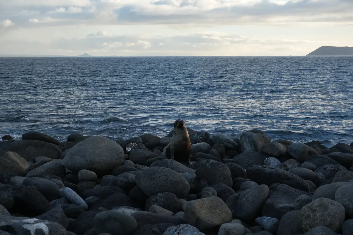 Ecuador photo 23