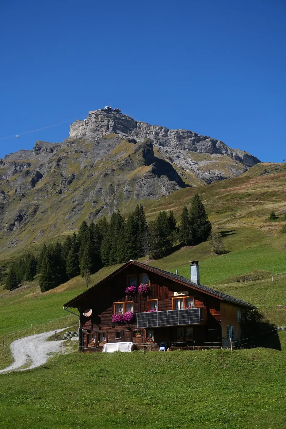 Switzerland photo 11