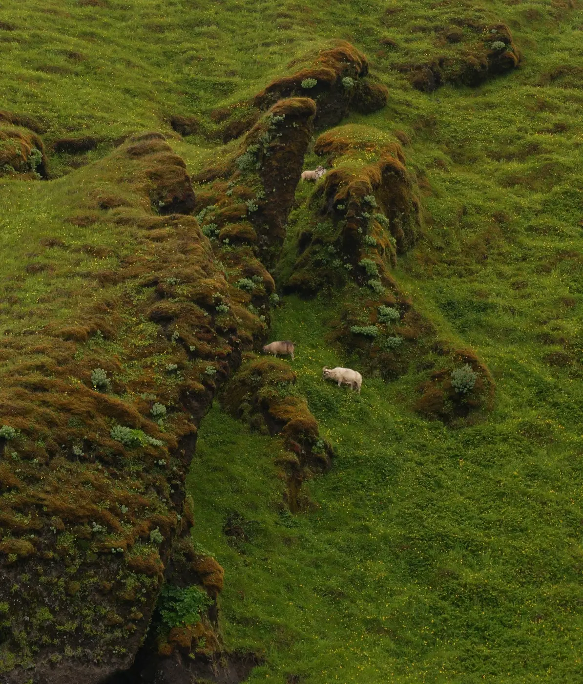 Iceland photo 39
