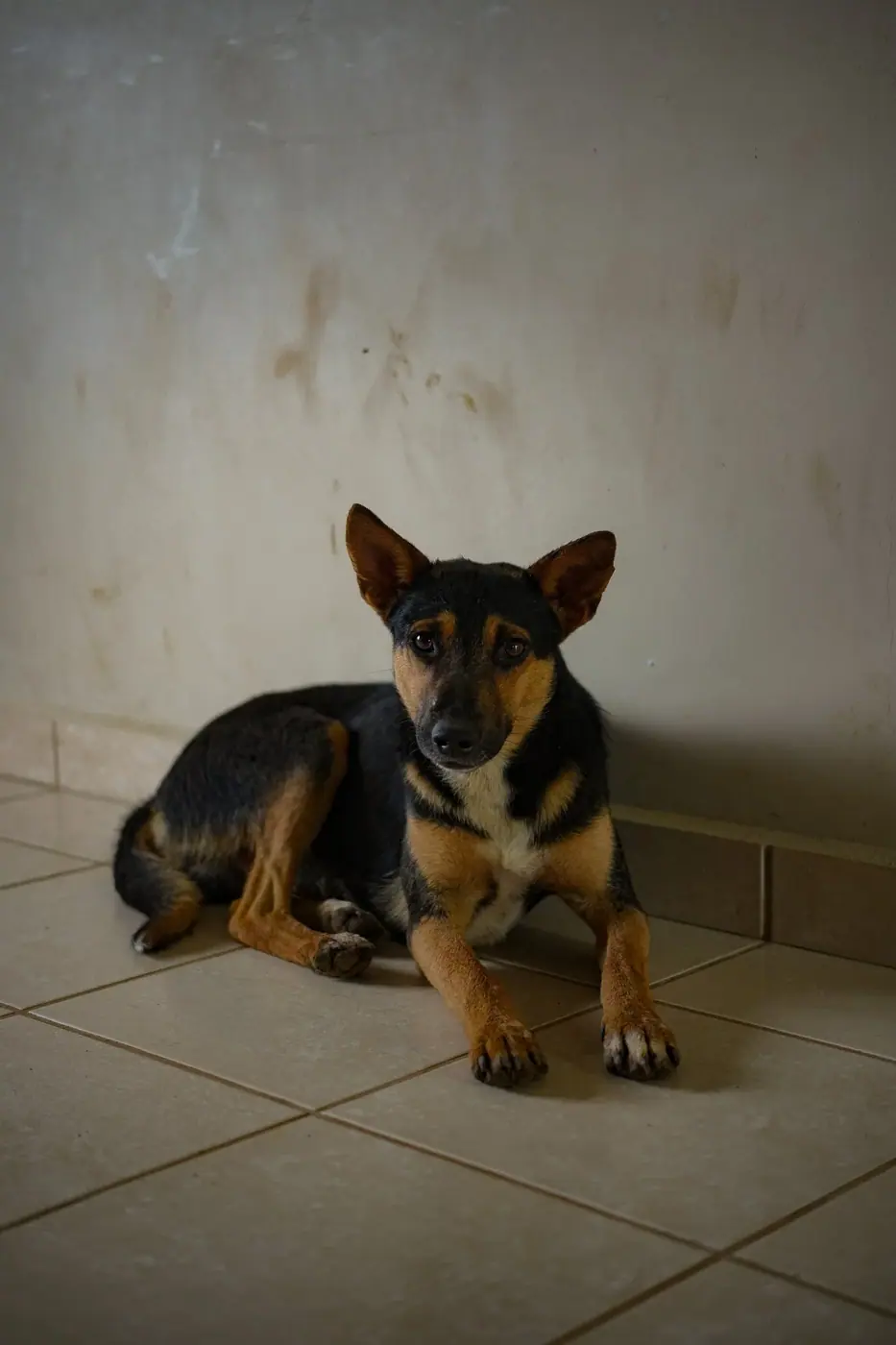 Honduras photo 35