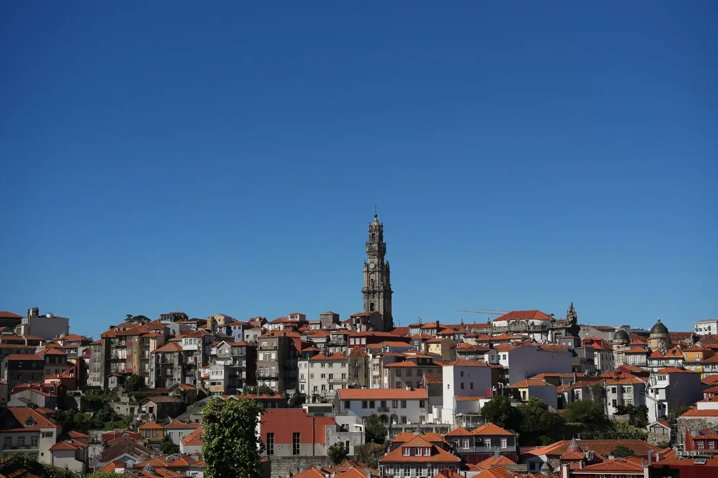 Portugal photo 14