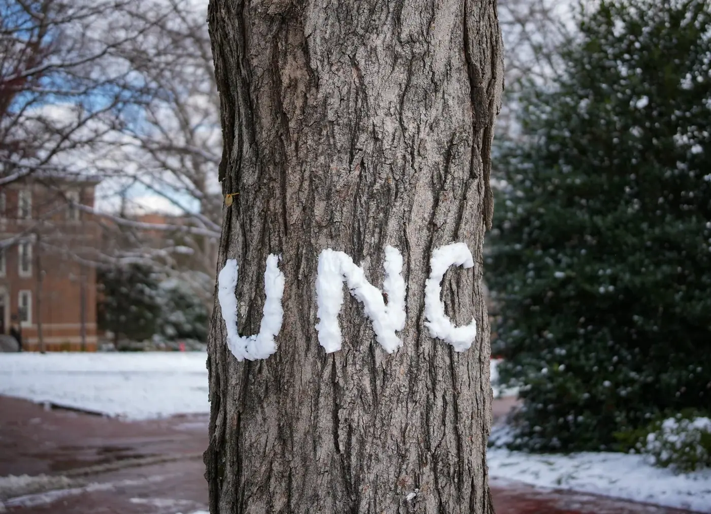 Chapel Hill photo 8