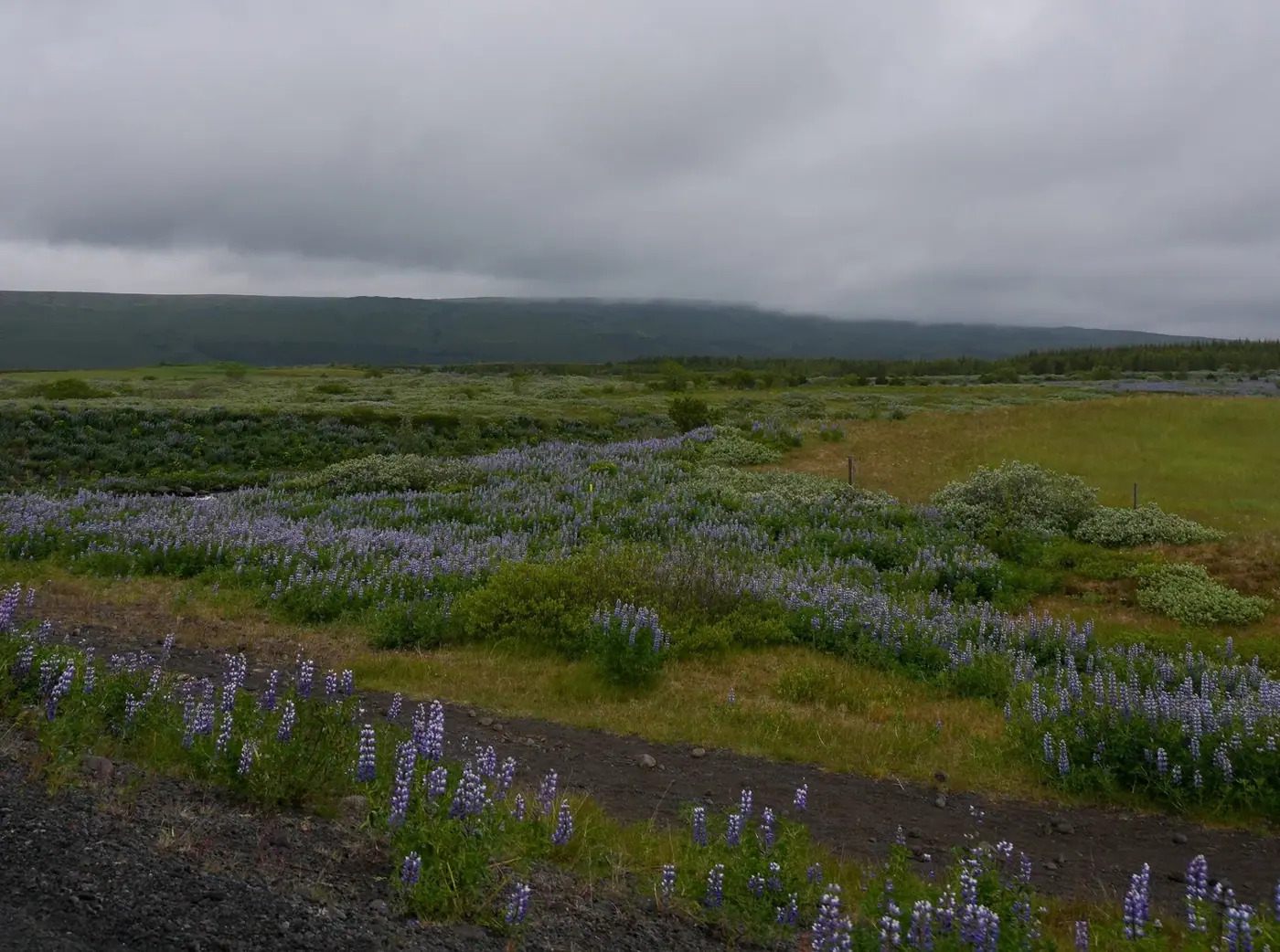 Iceland photo 23