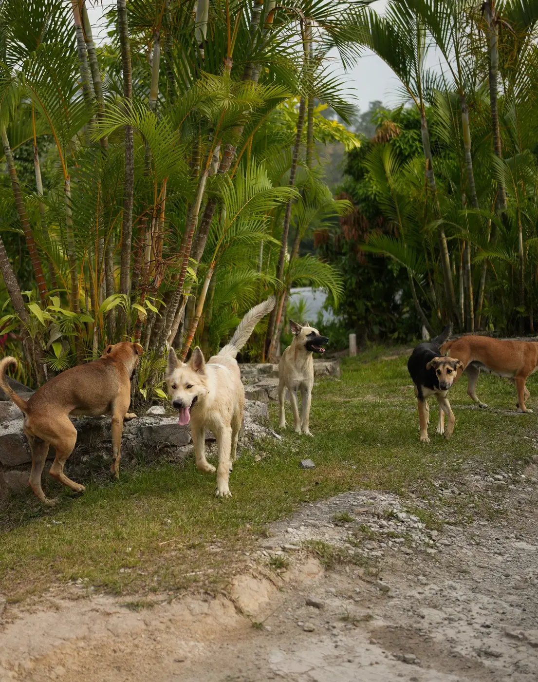 Honduras photo 9