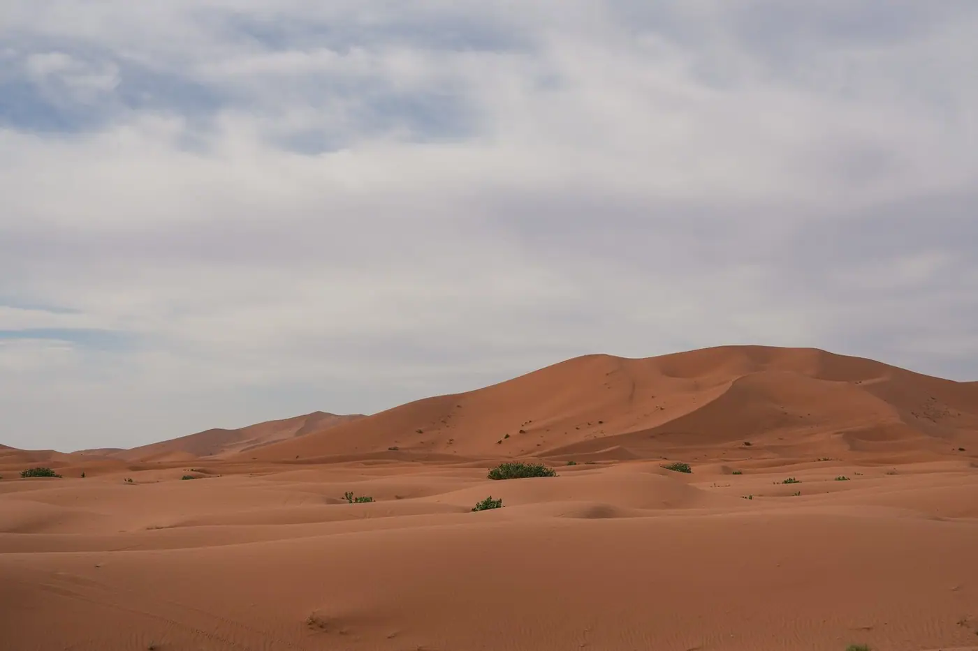 Morocco photo 23