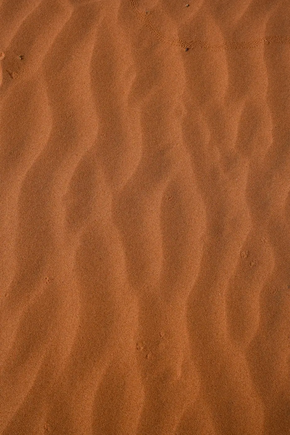 Morocco photo 8
