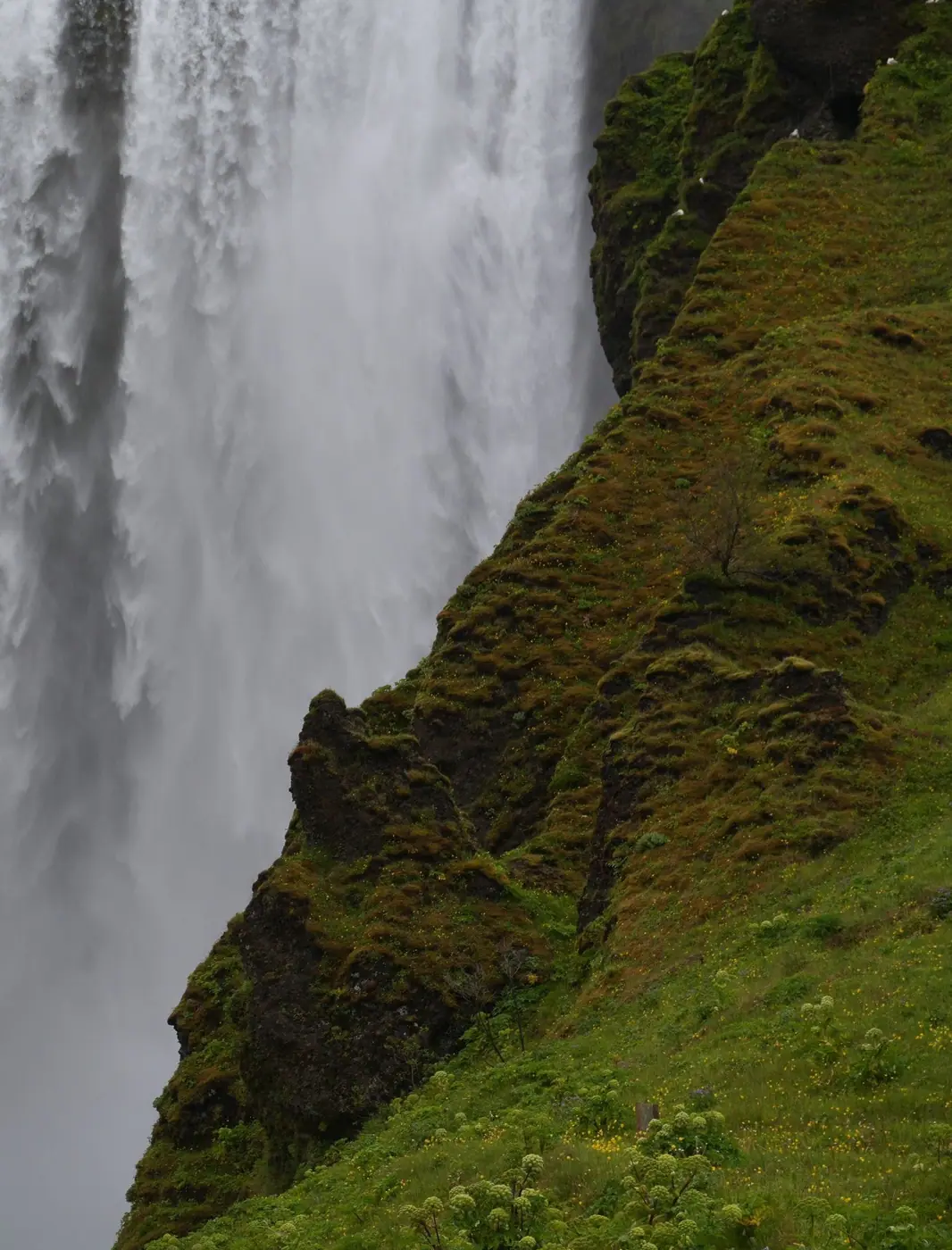 Iceland photo 35