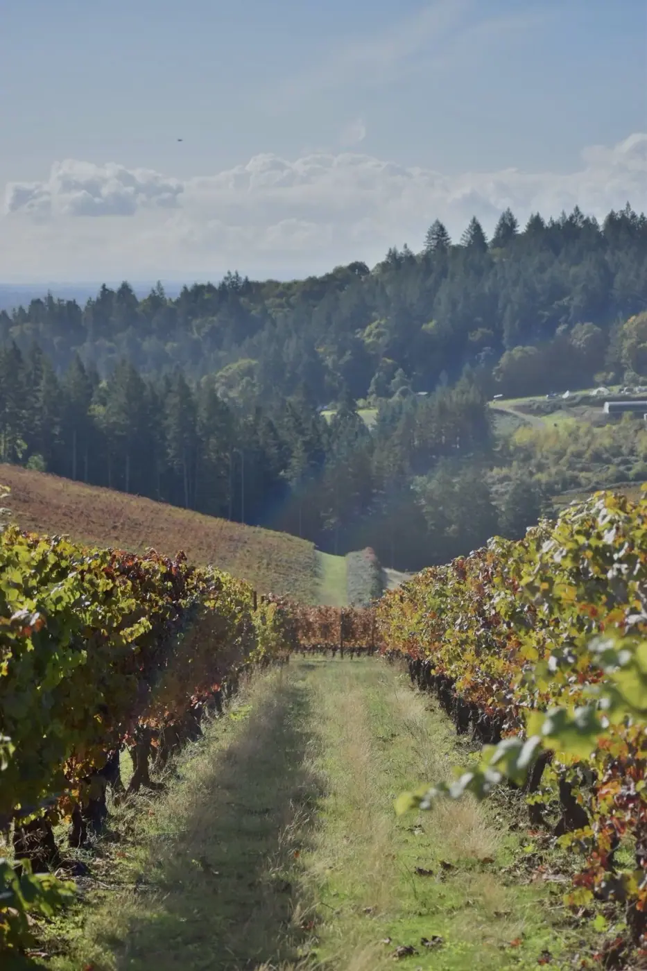 Oregon photo 12