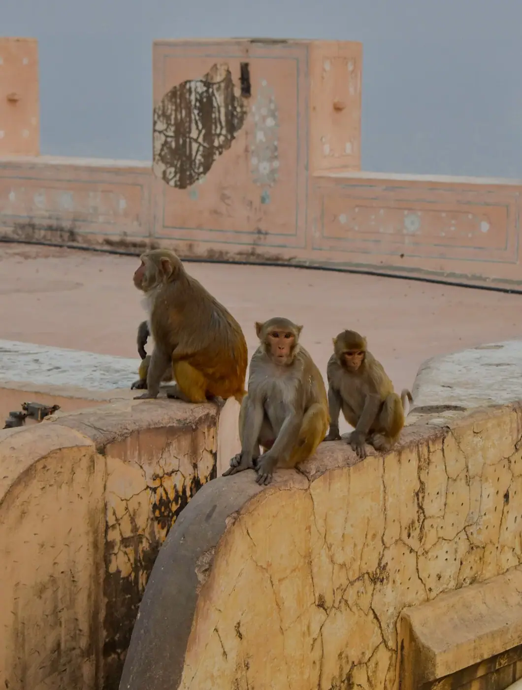 India photo 3