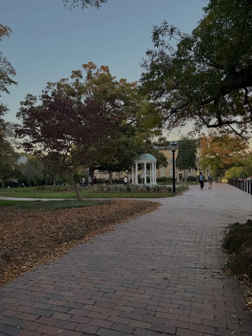 Chapel Hill photo 23
