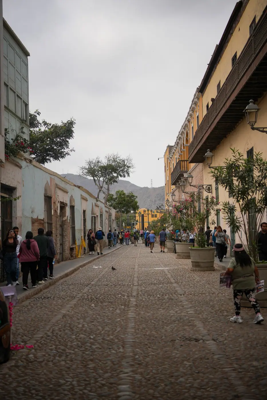 Peru photo 24